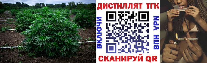 Дистиллят ТГК концентрат  как найти наркотики  кракен маркетплейс  Аткарск 
